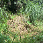 Terreno à venda no condomínio Sausalito, Mairiporã - SP