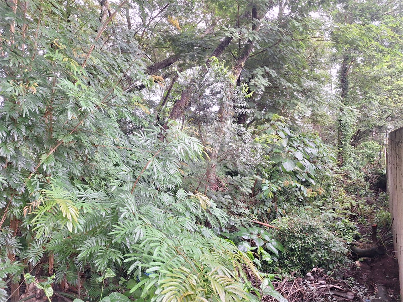 Terreno à venda em Jardim Maristela, Atibaia, SP