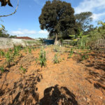 Terreno à venda em Jardim Yamamoto, Arujá, SP