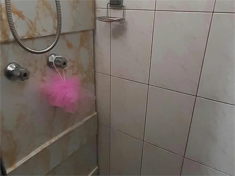Apartamento à venda com 2 quartos em Jardim Monte Alegre, São Paulo, SP