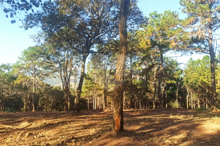 Casa em condomínio à venda em Parque Fernão Dias, Atibaia, SP