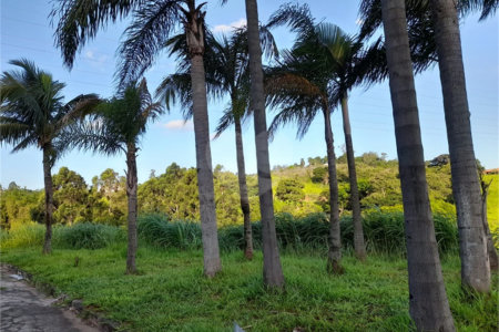 Área de Terra à venda em Três Pistas, Atibaia, SP