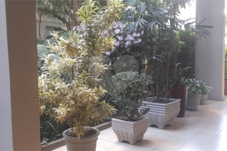Apartamento para alugar com 1 quarto em Consolação, São Paulo, SP