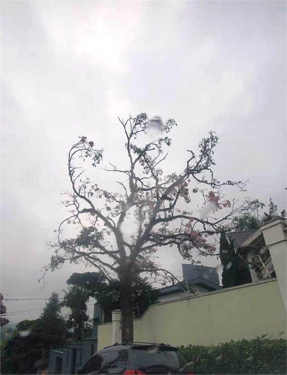 Sobrado à venda com 3 suítes em Vila Aurora (zona Norte), São Paulo, SP