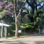 Terreno à venda em Alto da Boa Vista, São Paulo, SP
