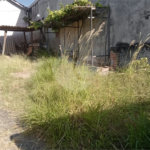 Terreno à venda em Casa Verde, São Paulo, SP