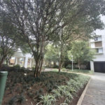 Apartamento à venda com 4 quartos, sendo 2 suítes, em Mandaqui, São Paulo, SP