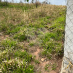 Terreno à venda em Recanto das Acácias, São Roque, SP