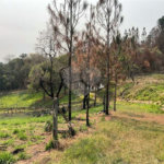 Fazenda à venda com 2 quartos em City Castello, Itu, SP