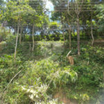 Terreno à venda em Capoavinha, Mairiporã, SP