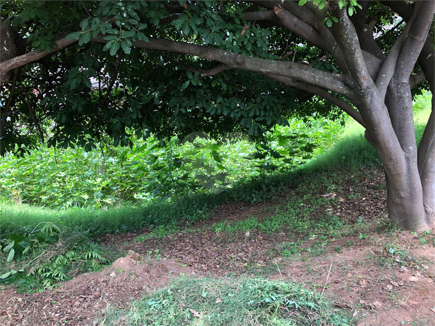 Terreno à venda em Imirim, São Paulo, SP