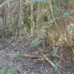 Terreno à venda no condomínio Sausalito, Mairiporã - SP