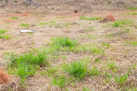 Terreno à venda em Jardim América, Bragança Paulista, SP