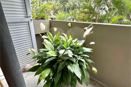 Apartamento à venda com 4 quartos, sendo 3 suítes, em Água Fria, São Paulo, SP