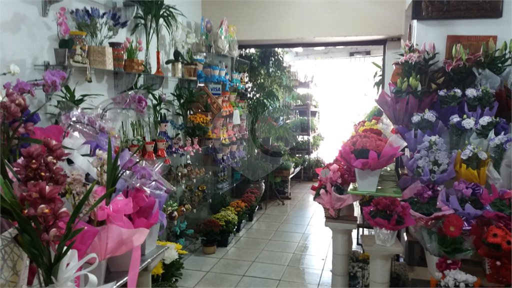 Loja à venda com 3 quartos em Vila Albertina, São Paulo, SP