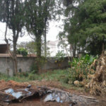 Terreno à venda em Horto Florestal, São Paulo, SP