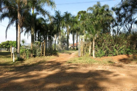 SÍTIO A VENDA - BELA VISTA