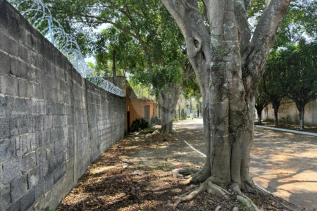 Terreno à venda em Interlagos, São Paulo, SP