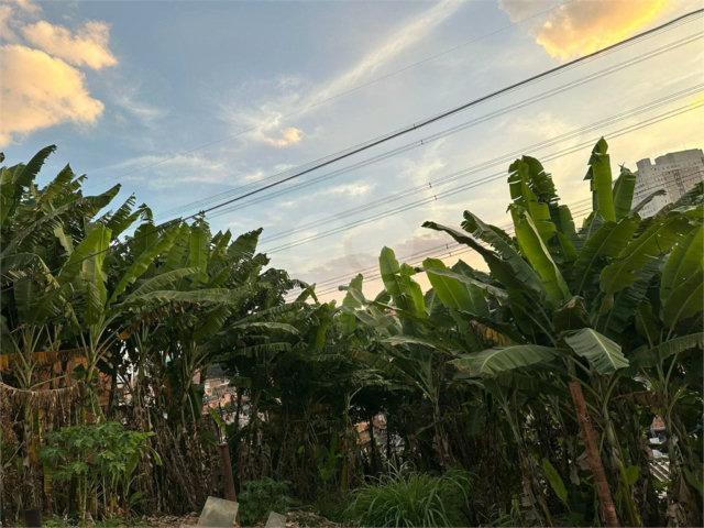 Terreno à venda em Tucuruvi, São Paulo, SP