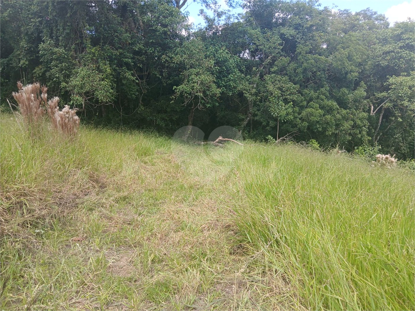 Chácara à venda em Bairro Biscoito Duro, Itapetininga, SP