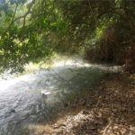 Fazenda à venda com 2 quartos em Canabrava, João Pinheiro, MG