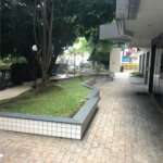 Apartamento à venda com 3 quartos, sendo 1 suíte, em Saúde, São Paulo, SP