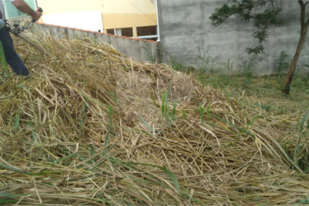 Terreno à venda em Jardim do Trevo, Atibaia, SP