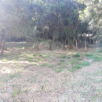 Terreno à venda em Vila Nova São Roque, São Roque, SP