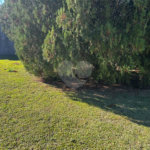 Terreno à venda em Vila Nastri, Itapetininga, SP