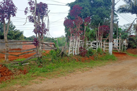 Terreno à venda em Vila Sol Nascente, Suzano, SP