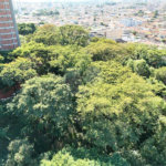 Terreno à venda no condomínio Acacia, Ribeirão Preto - SP