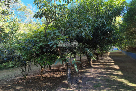 Casa Pé na Água em Atibaia com Acesso à Represa e Mais de 3.000 m² de Natureza