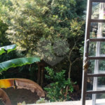 Sobrado à venda com 3 quartos, sendo 1 suíte, em Horto, São Paulo, SP