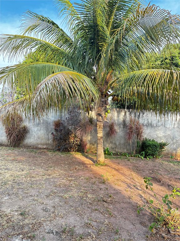 Sobrado para alugar com 4 quartos, sendo 2 suítes,  no Centro, Três Lagoas, MS
