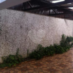 Sobrado à venda com 3 quartos em Vila Nova Cachoeirinha, São Paulo, SP