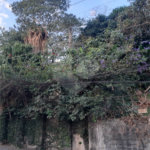 Terreno à venda em Vila Irmãos Arnoni, São Paulo, SP