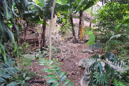 Loteamento à venda em Jardim Amália, São Paulo, SP