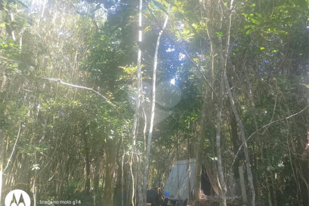 Terreno à venda em Dos Finco, São Bernardo do Campo, SP