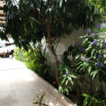 Casa à venda com 3 quartos, sendo 1 suíte,  em Jardim Brasil (zona Sul), São Paulo, SP