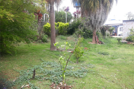Terreno para alugar em Jardim Rene, São Roque, SP