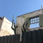 Terreno à venda em Santana, São Paulo, SP