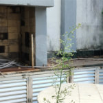 Sobrado à venda com 3 quartos, sendo 2 suítes, em Vila Guilherme, São Paulo, SP
