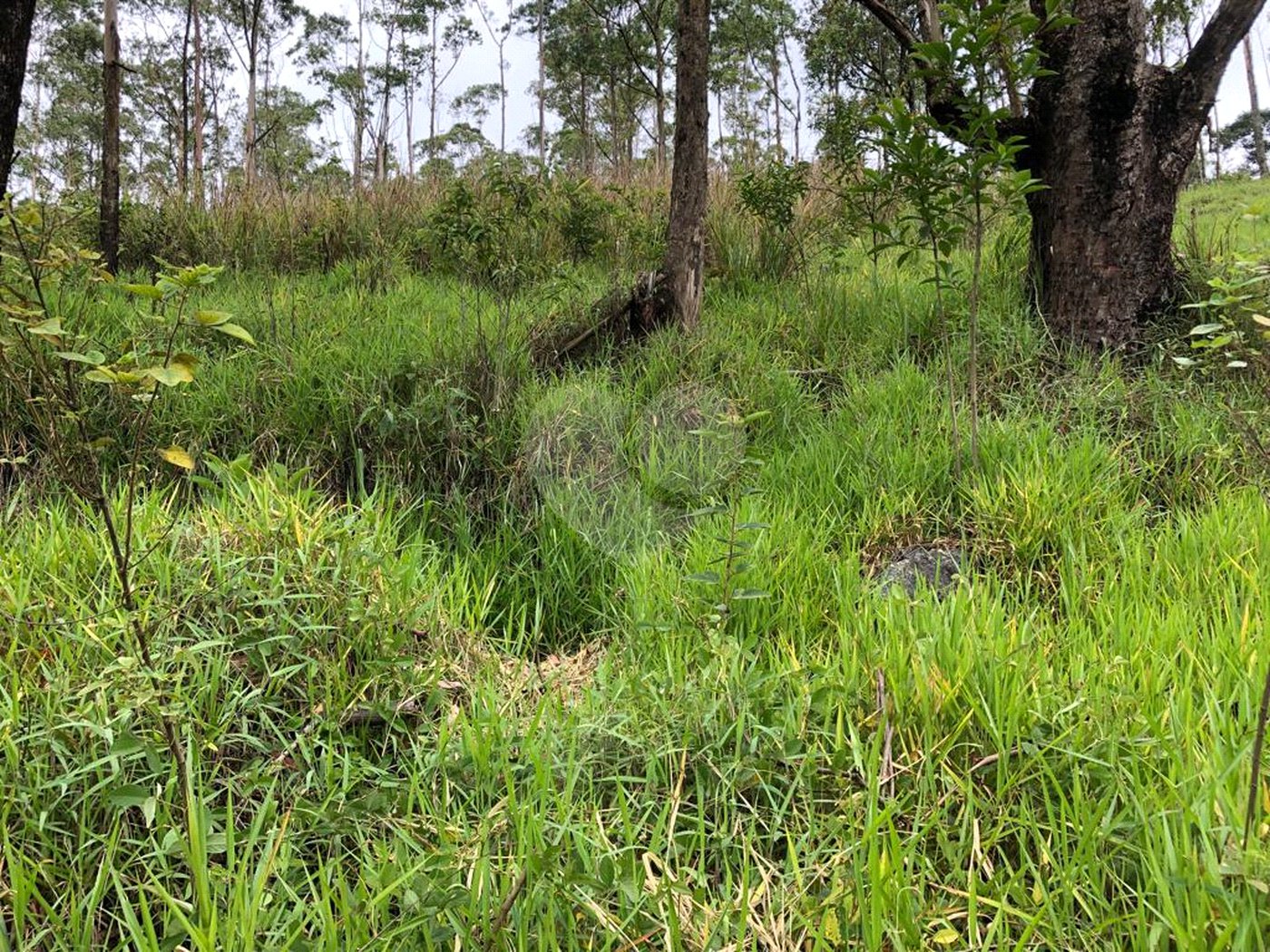 Terreno à venda no condomínio Gleba E1 E2, Mairiporã - SP