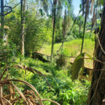 Terreno à venda em Morumbi, São Paulo, SP
