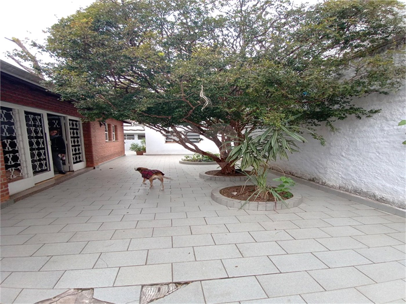 Casa à venda com 4 quartos, sendo 1 suíte, em Santana, São Paulo, SP