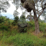 Terreno à venda em Jardim Monte Santo, Itapetininga, SP