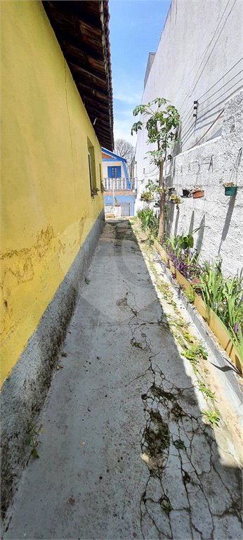 Terreno à venda com 3 quartos em Vila Guilherme, São Paulo, SP