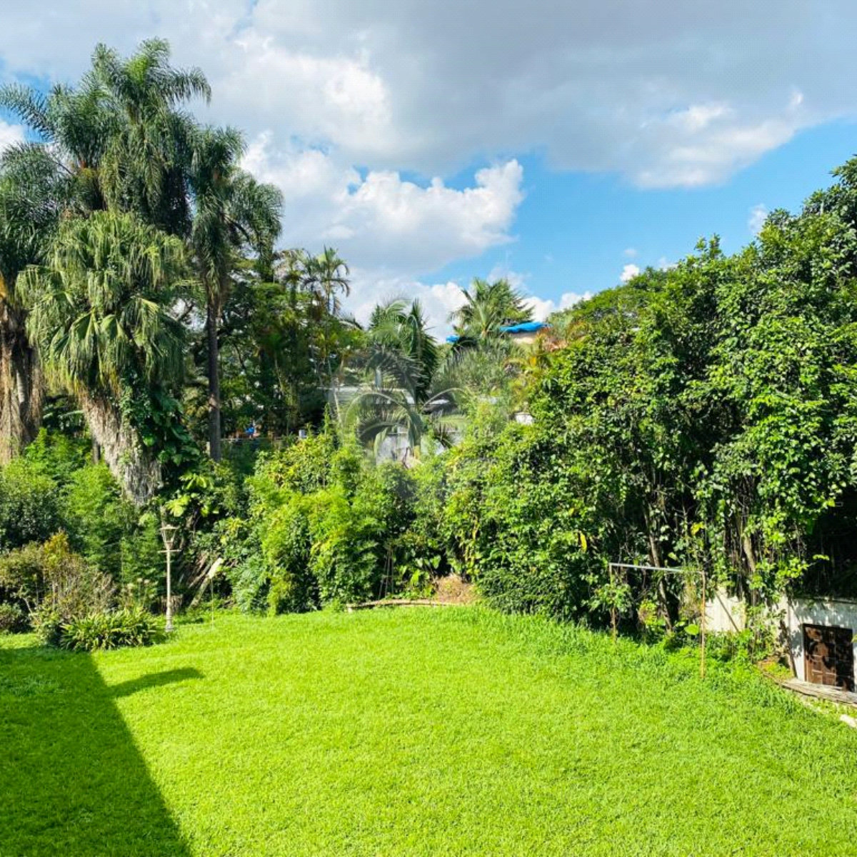 Casa à venda com 4 quartos, sendo 1 suíte, em Alto da Boa Vista, São Paulo, SP