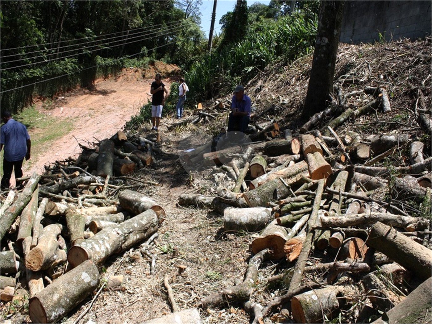 Terreno à venda em Serra da Cantareira, Mairiporã, SP