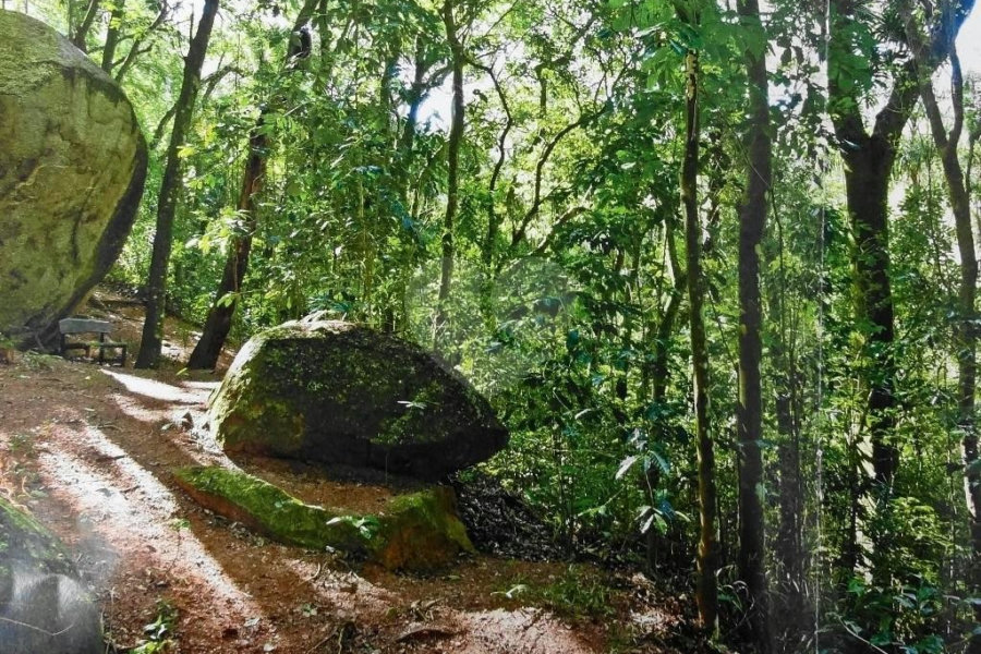 Terreno à venda em Vila Irmãos Arnoni, São Paulo, SP